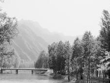 下列成语所描述的事件是必然事件的 - 学习帮手网