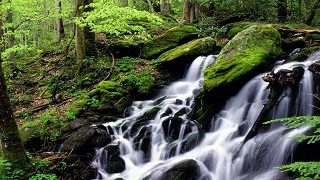 传普洛斯入股平安不动产物流10%股权并受托300万平资产 - 北京房谈网